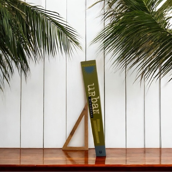 Urban Dictionary: Fularious Street Slang Defined by Aaron Peckham - Picture 4 of 6